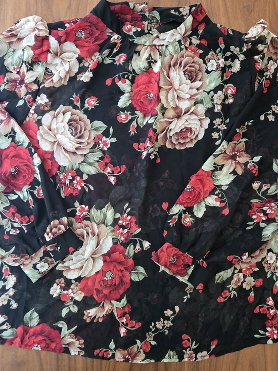 SHEIN Tops - Romantic Whimsigoth Floral Blouse Sheer Smocked Cuffed Sleeve Red Cream 2x